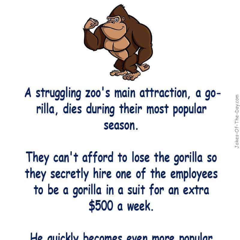 A struggling zoo's gorilla dies during their busiest season and they can't afford to replace him, so they hire one of the employees to... - funny joke