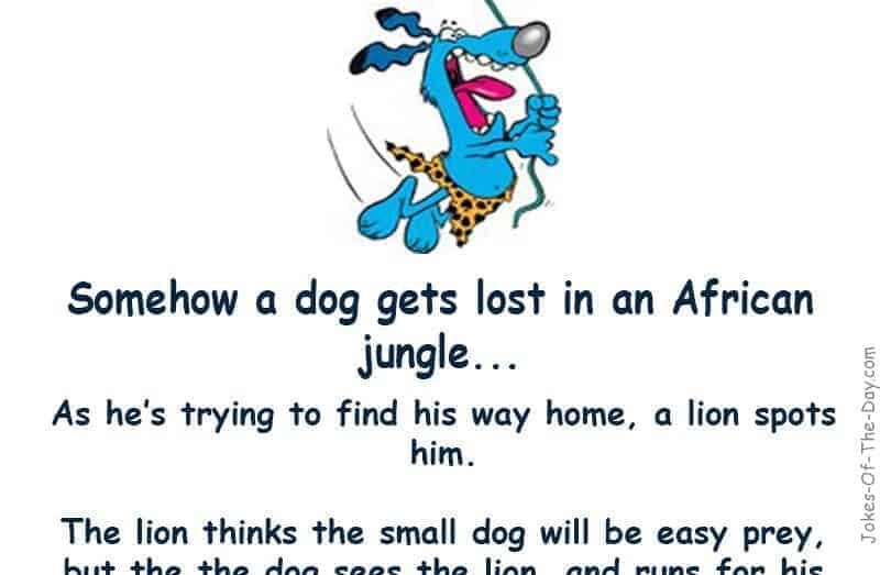 Somehow a dog gets lost in an African jungle. As he is finding his way a lion spots him. The lion thinks since the dog is so small... -funny joke