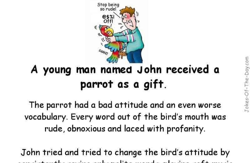 Funny Parrot Joke Of The Day