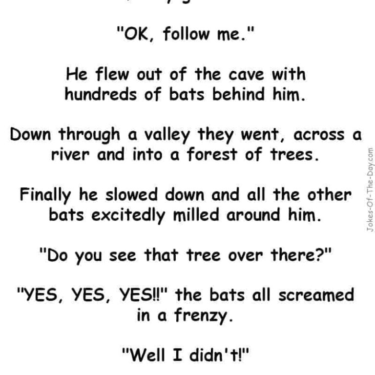 This Weird Bat Blood Mnemonic Actually Works - y13w8fm
