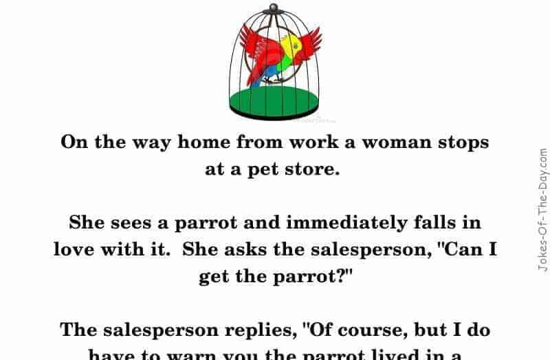 A woman buys a talking parrot from a brothel