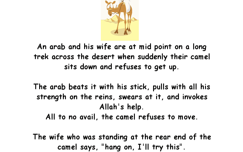 The Camel refused to budge, so the arab's wife tries this - Funny Joke