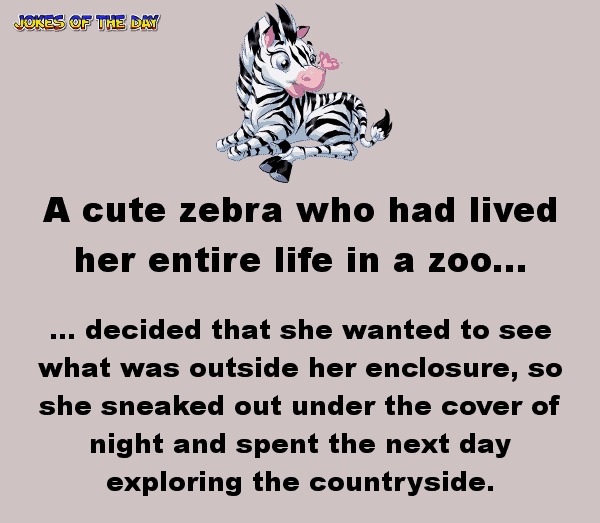 Female zebra goes to a farm - funny joke