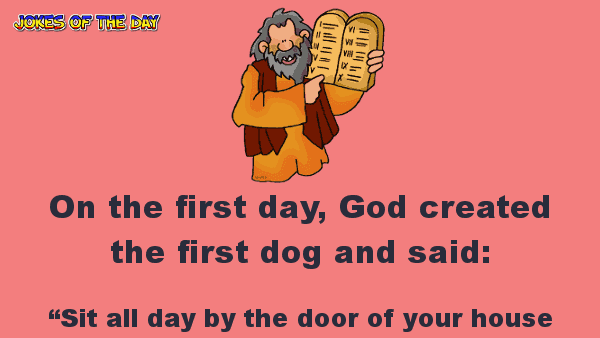 When god created man - funny clean joke of the day  ‣ Jokes Of The Day 