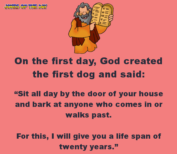 When god created man - funny clean joke of the day