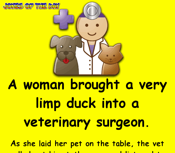 A woman brought a very limp duck into a veterinary surgeon