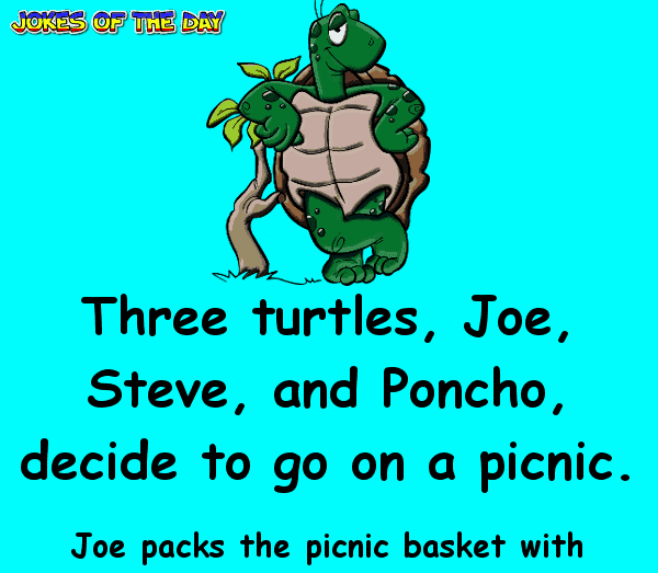 Three turtles decide to go on a picnic - clean joke