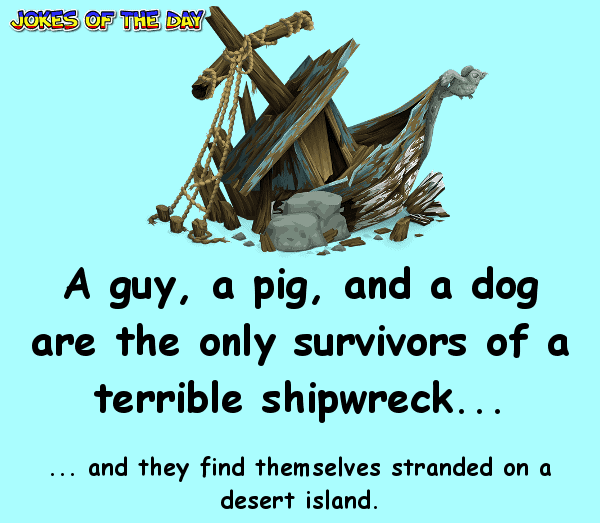 A guy, a pig, and a dog are the only survivors of a terrible shipwreck