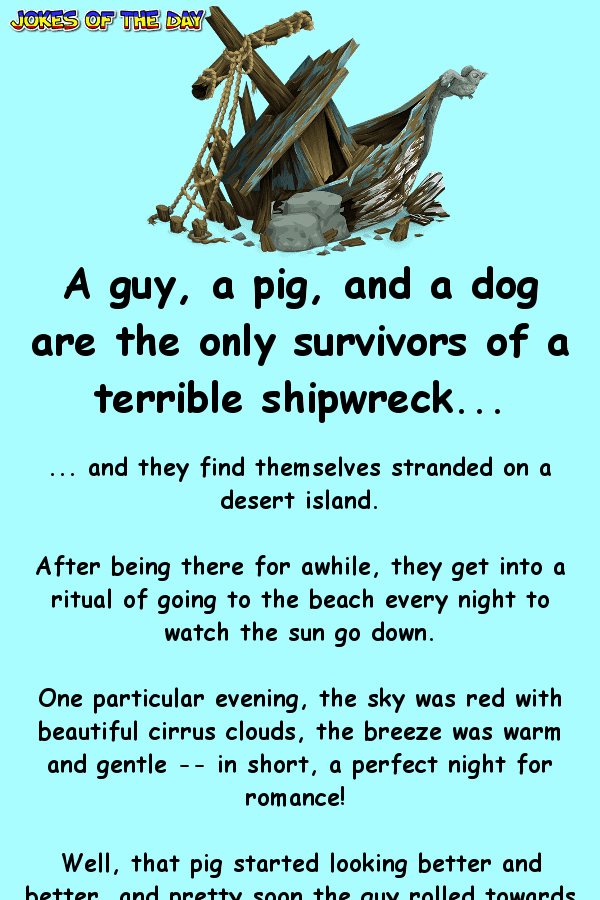 A guy, a pig, and a dog are the only survivors of a terrible shipwreck