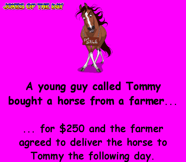 Funny Clean Joke - A young guy called Tommy bought a horse from a farmer