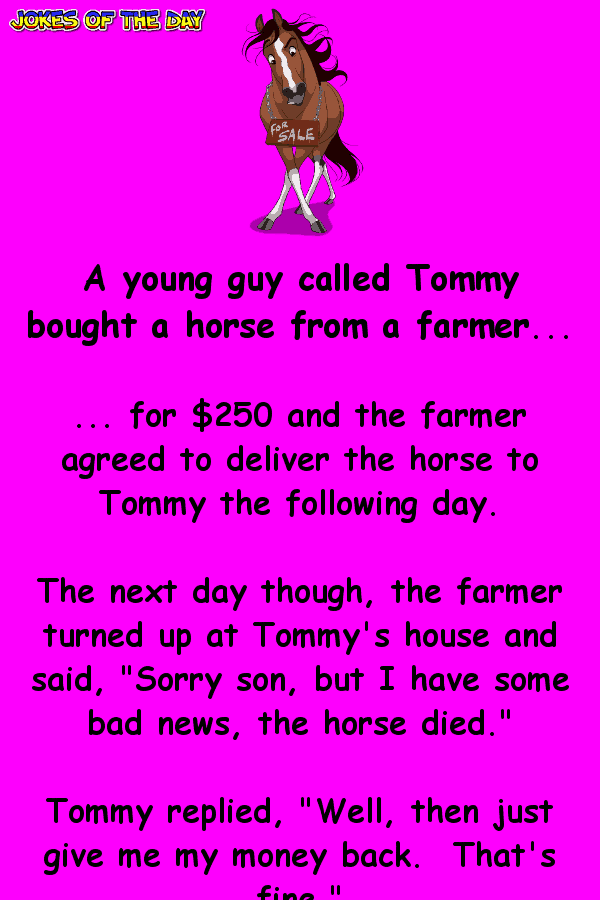 Funny Clean Joke - A young guy called Tommy bought a horse from a farmer