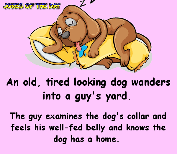 Funny Clean Joke - An old tired looking dog wanders into a guy's yard