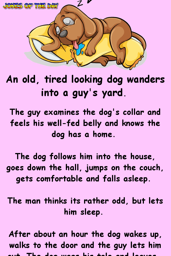 Funny Clean Joke - An old tired looking dog wanders into a guy's yard