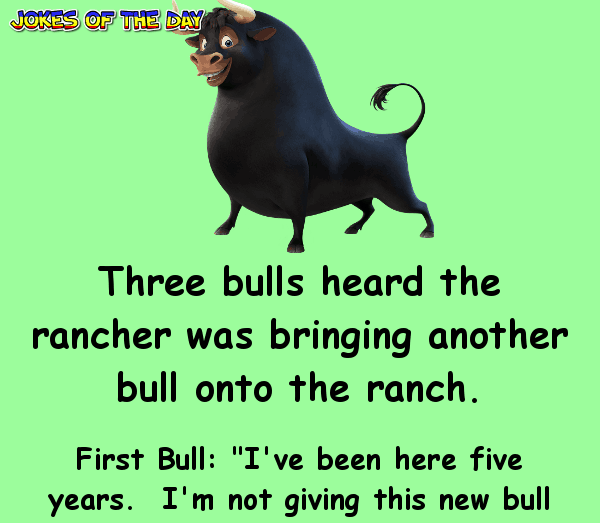 Funny Clean Joke Of The Day - Three bulls heard the rancher was bringing another bull onto the ranch