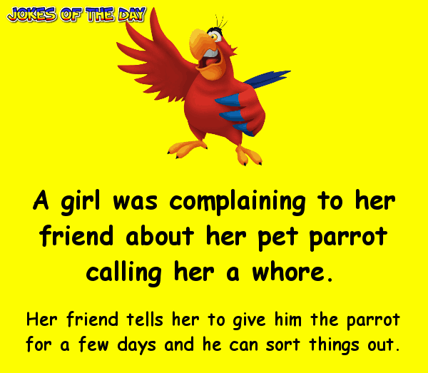 Funny joke - What this parrot says cracks me up