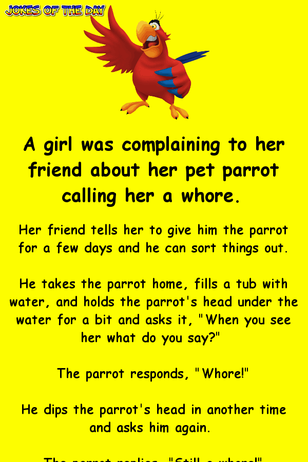 Funny joke - What this parrot says cracks me up  ‣ Jokes Of The Day 
