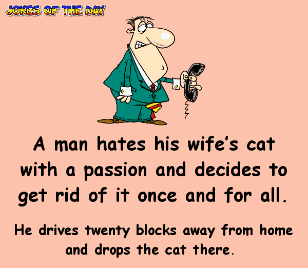 Funny Cat Joke - A man hates his wife’s cat with a passion and decides to get rid of it once and for all