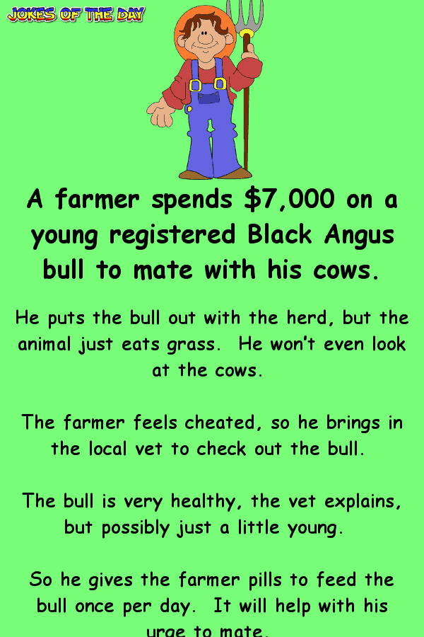 Funny Joke - The farmer calls the vet about his prized bull not wanting to mate  ‣ Jokes Of The Day 