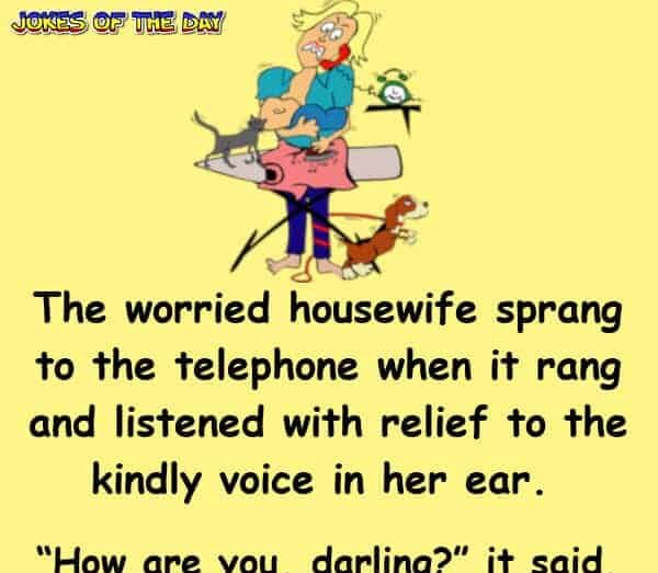 Funny Joke - The housewife was having a very bad terribly awful day