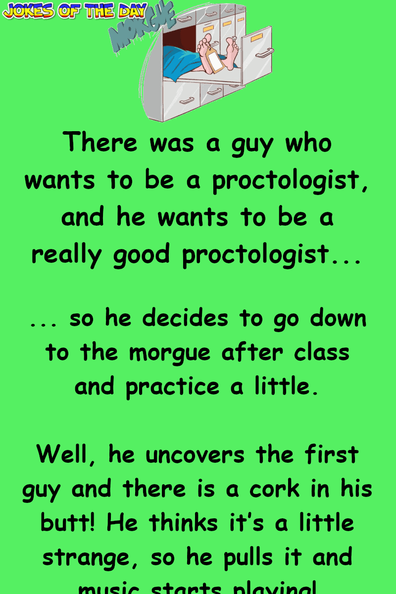 Clean Country Music Joke - There was a guy who wants to be a proctologist, so he goes to the morgue to practice  ‣ Jokes Of The Day 