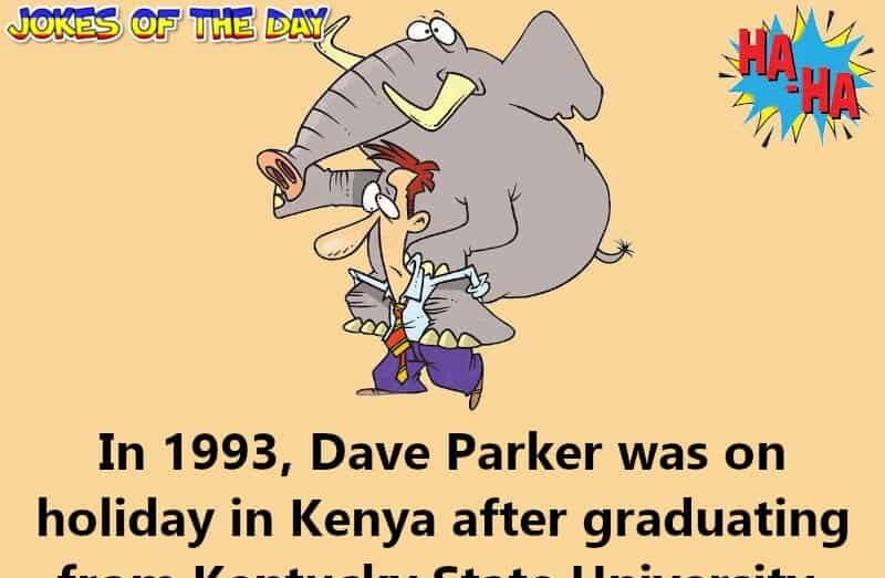 Funny Humor - Dave and The Elephant