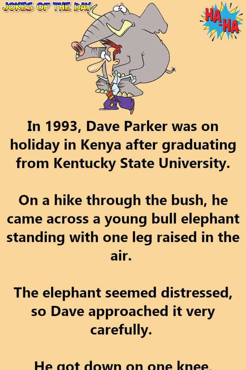 Funny Humor - Dave and The Elephant