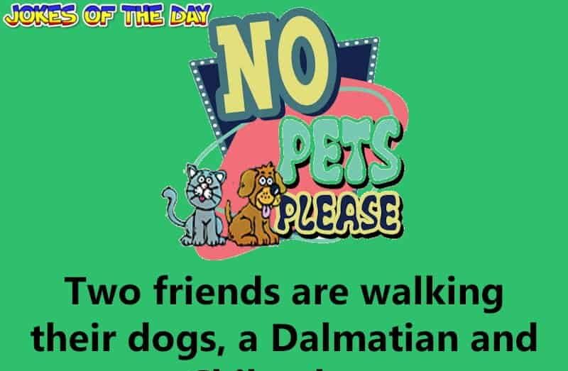 Hilarious joke about two men walking their dogs