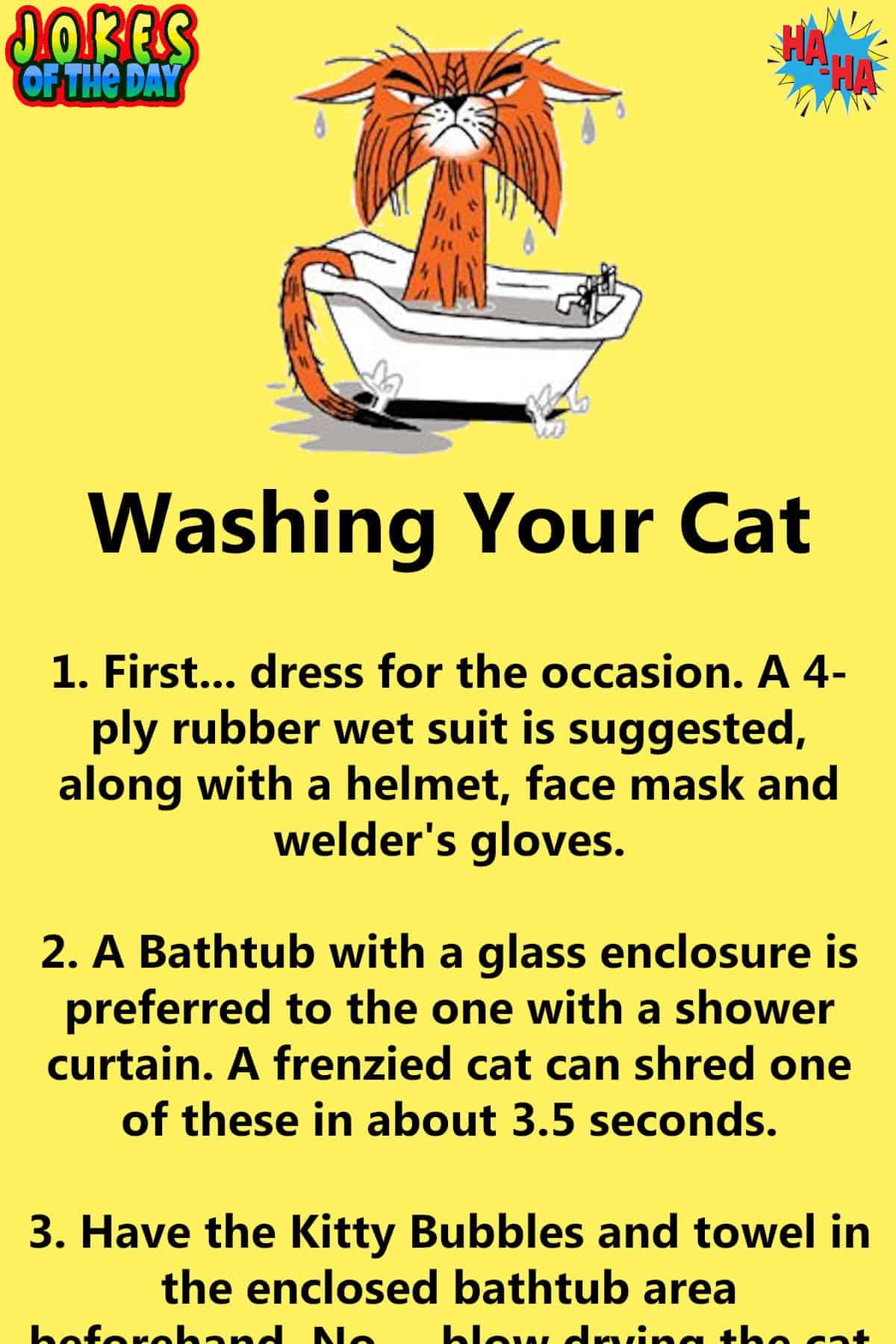 Humor - How To Wash Your Cat