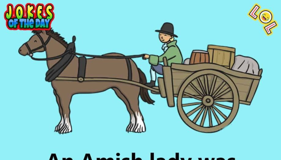Joke - An Amish Lady Driving Her Horse-Drawn Buggy Is Pulled Over By The Police