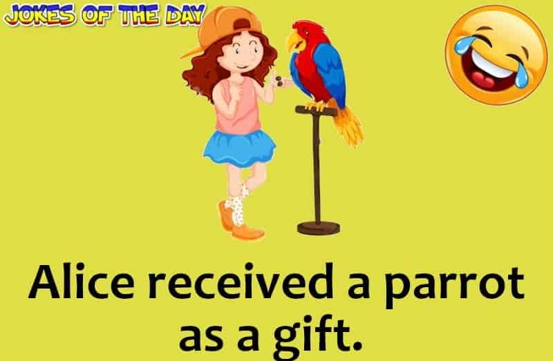 Joke - The parrot was fully grown with a very bad attitude and worse vocabulary