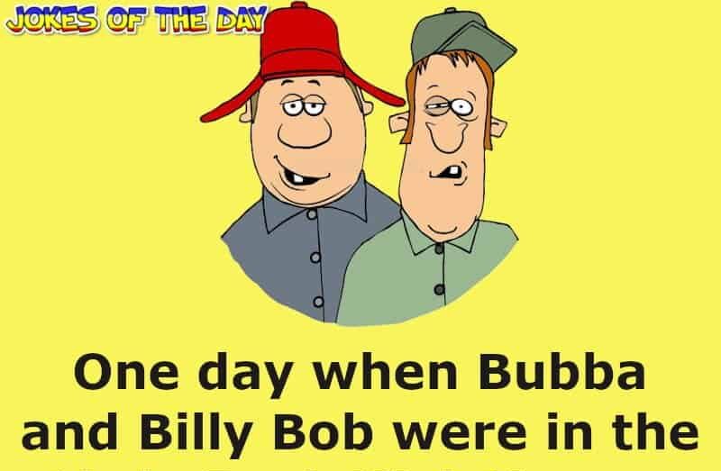 Silly Joke - Billy Bob and Bubba enter a charity raffle
