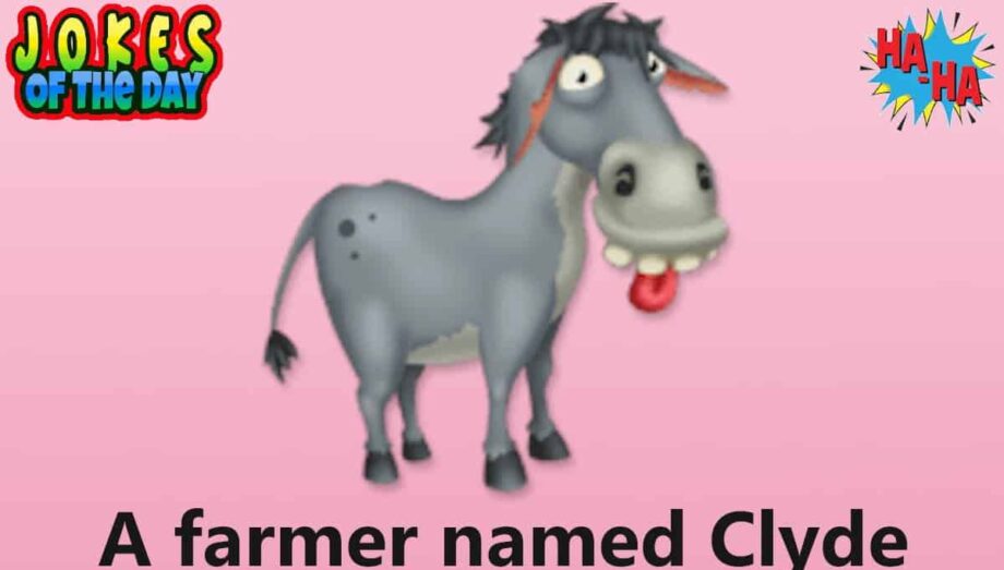 Clean Joke Of The Day - A farmer named Clyde had a car accident