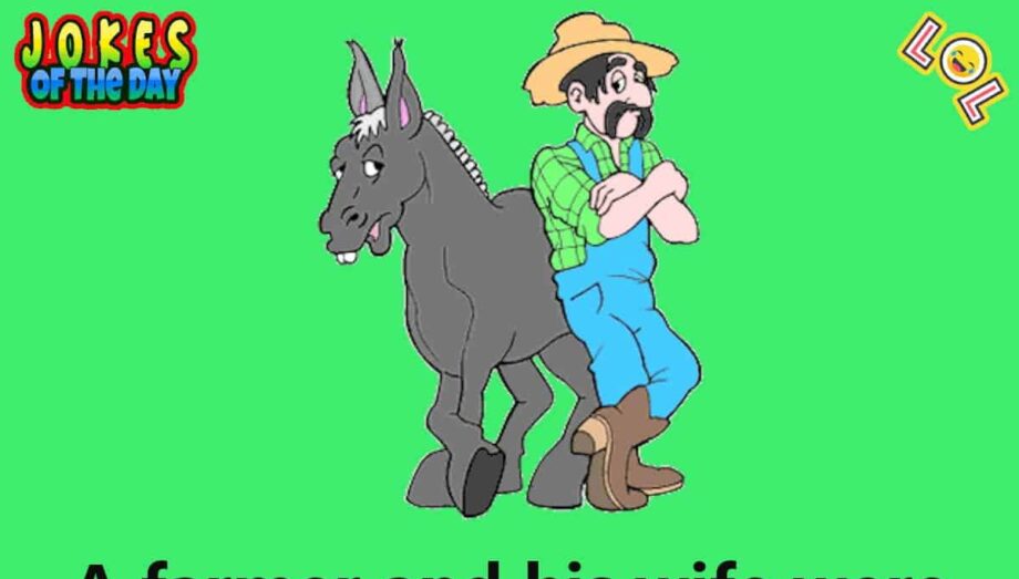 Funny Joke - The Farmer Gives The Mule A Warning
