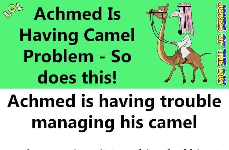 Achmed Is Having Camel Problem - So does this