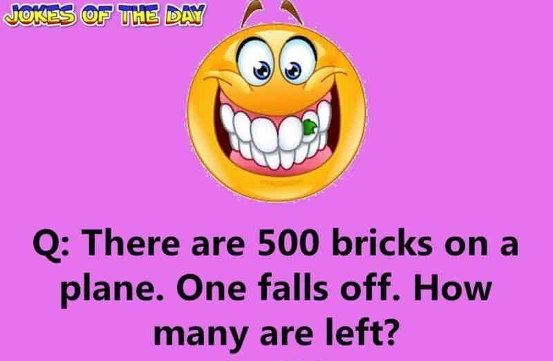 Joke - There are 500 bricks on a plane One falls off How many are left