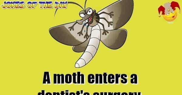 A Moth Was Having A Really Bad Awful Horrible Day | Jokes Of The Day