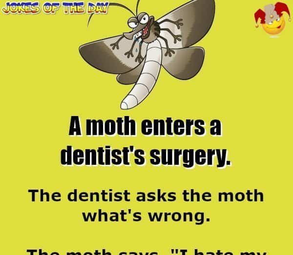 Jokesoftheday com - Silly Joke - A Moth Was Having A Really Bad Awful Horrible Day