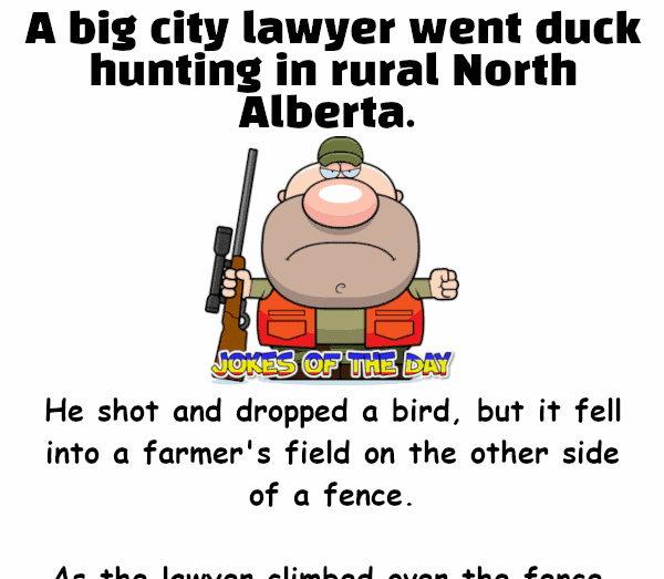 Jokesoftheday com - Hunting Joke - A big city lawyer went duck hunting