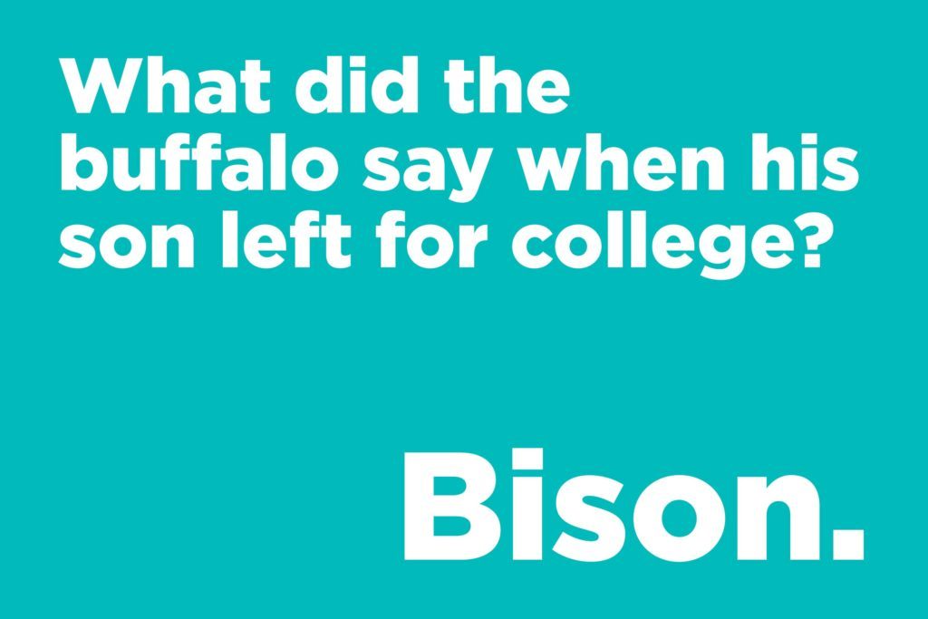 Buffalo joke  ‣ Jokes Of The Day 