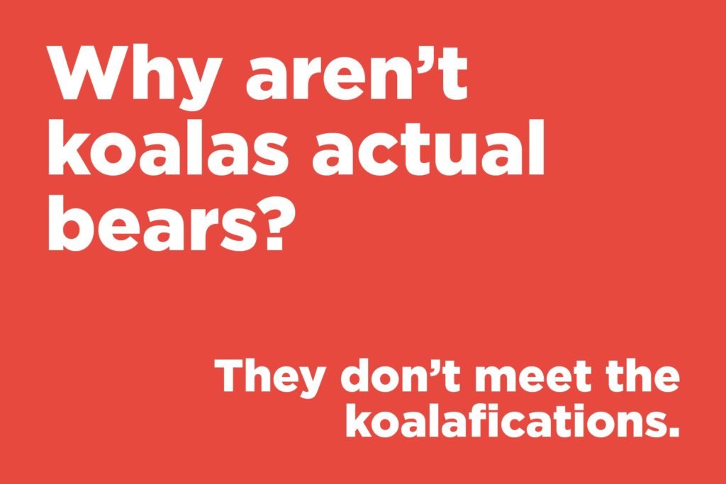 Why aren't koalas actual bears?  ‣ Jokes Of The Day 