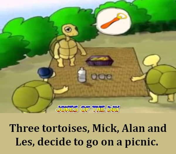 Three Tortoises Go On A Picnic - Funny Joke - Jokesoftheday com