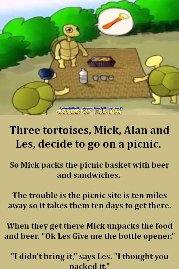 Three Tortoises Go On A Picnic - Funny Joke - Jokesoftheday com  ‣ Jokes Of The Day 
