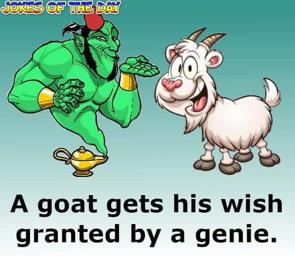 A goat gets his wish granted by a genie - Funny Dad Joke - Jokesoftheday com