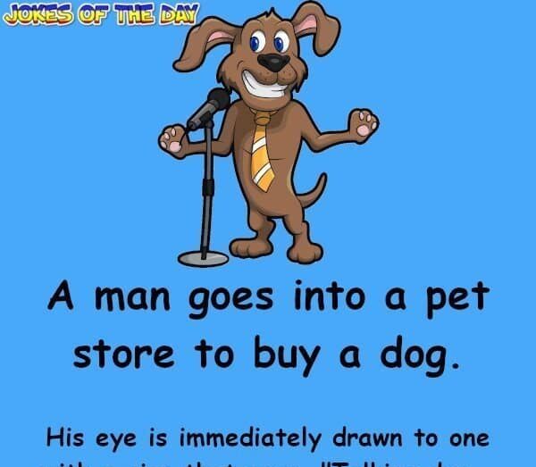 A man goes into a pet store to buy a dog - Funny Clean Joke - Jokesoftheday com