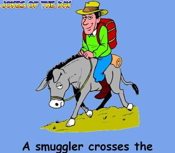 A smuggler crosses the border each morning on a donkey - Funny Joke - Jokesoftheday com