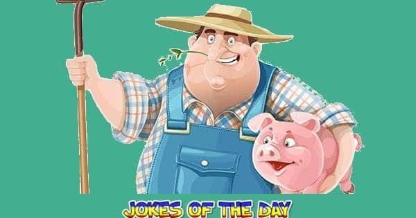 Funny Joke ‣ The farmer and the three legged pig