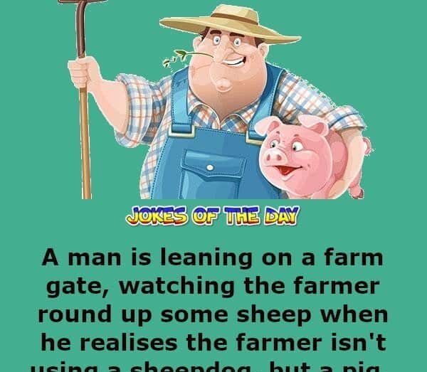 The farmer and the three legged pig - Funny Clean Joke - Jokesoftheday com