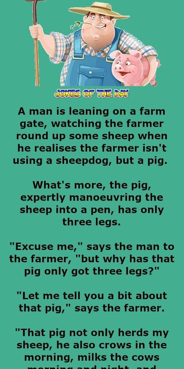 The farmer and the three legged pig - Funny Clean Joke - Jokesoftheday com  ‣ Jokes Of The Day 