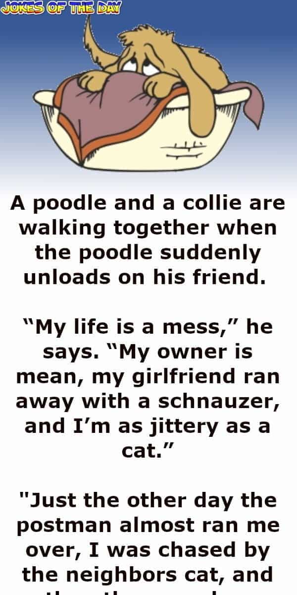 The poodle complains that his life is a mess - Funny Clean Joke - Jokesoftheday com