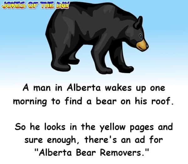 A man in Alberta wakes up one morning to find a bear on his roof - Funny Joke - Jokesoftheday com